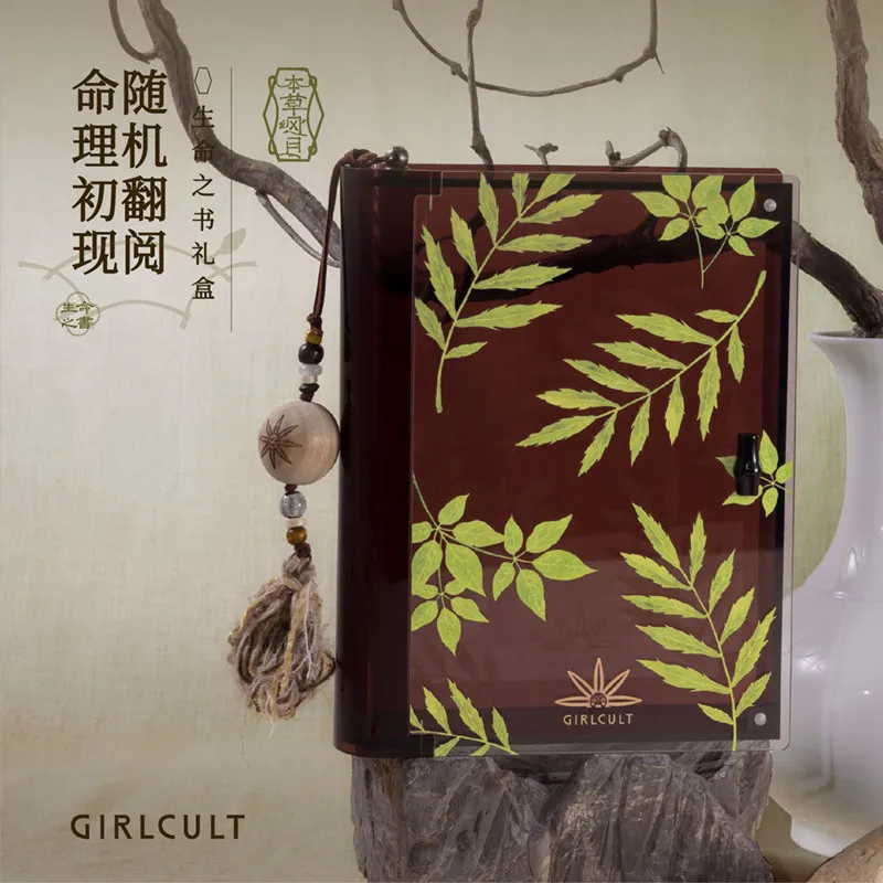 Zestawy do makijażu Girlcult w pudełku prezentowym, szminka, cień do powiek jako prezent na Boże Narodzenie, pełny profesjonalny zestaw do makijażu