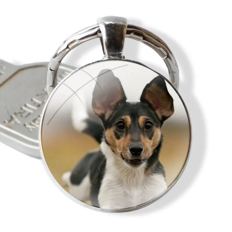 Jack Russell Terrier Dog glass cabochon keychain Car key chain Charms keychains Gifts Accessories Phone Shell Covers