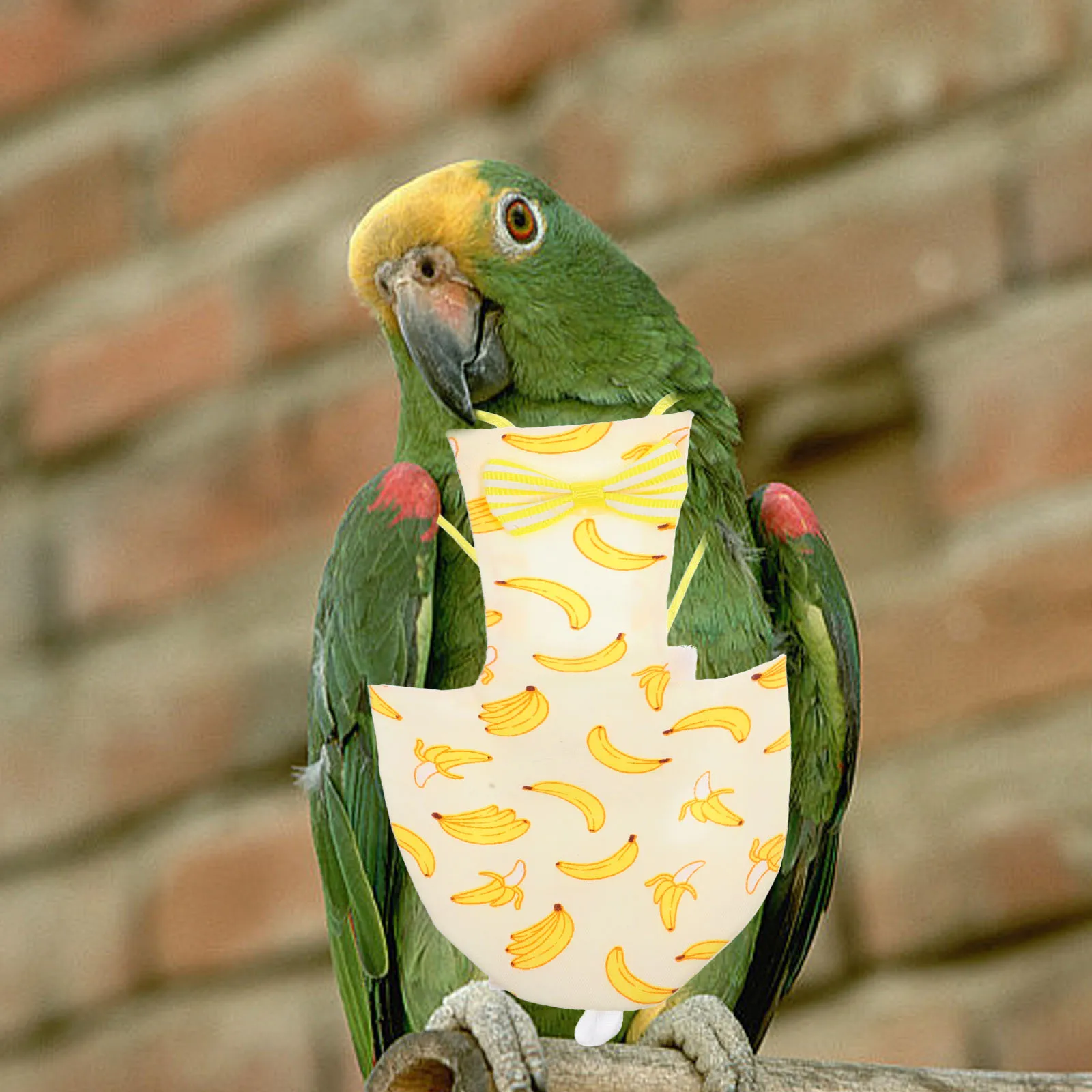 

2 Pcs Parrot Diapers Nappy Bird Flying Clothes Pigeon Flight Suit Washable Reusable Lightweight Cotton Pet Accessories