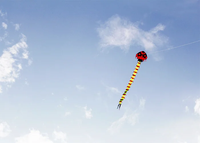 Outdoor Fun Strong 8M Huge Centipede Kite  Beginner Kites  Adults Come With String And Handle Good Flying