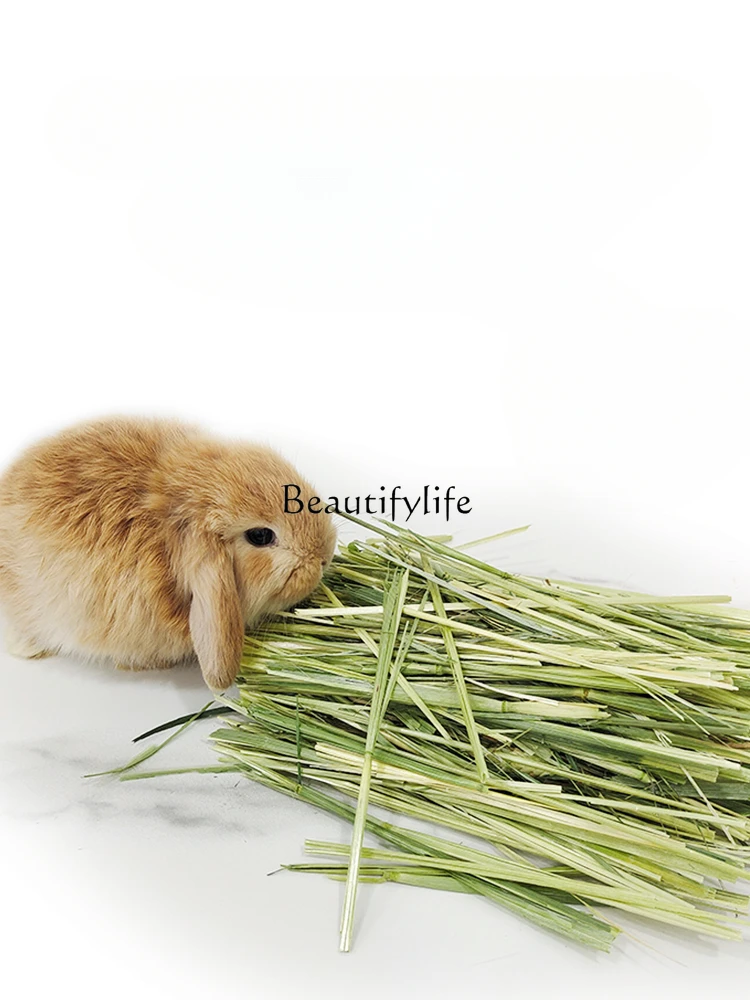 Selected Arrhenatherum Elatius Rabbit Hay Premium High Quality Gold Arrhenatherum Elatius High Fiber Tender Green