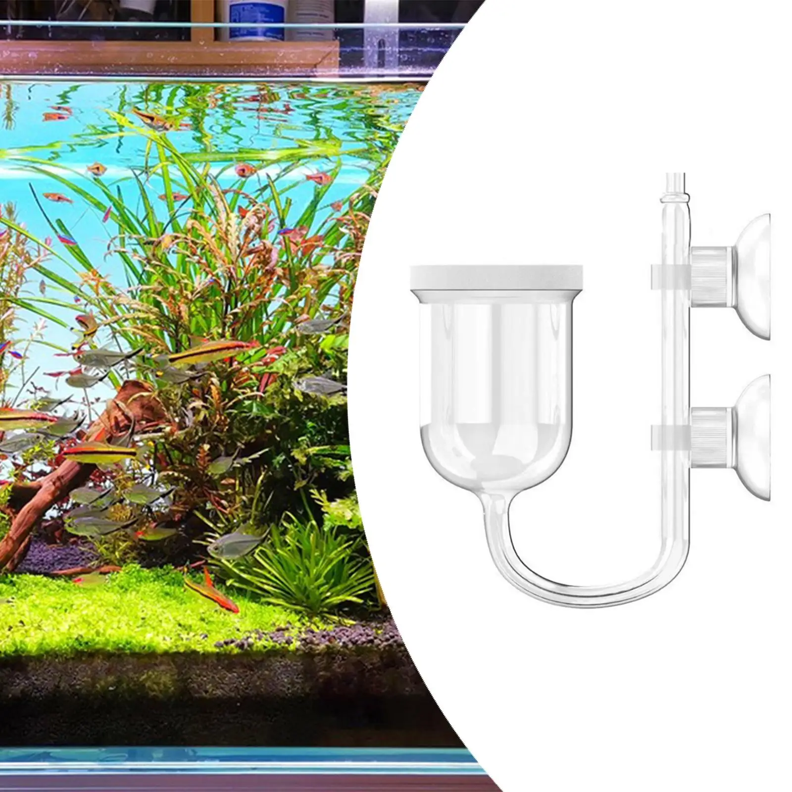 Aquarium CO2 Diffuser Glass Transparent with Suction Cup Bubble Counter for Aquatic Plant Systems