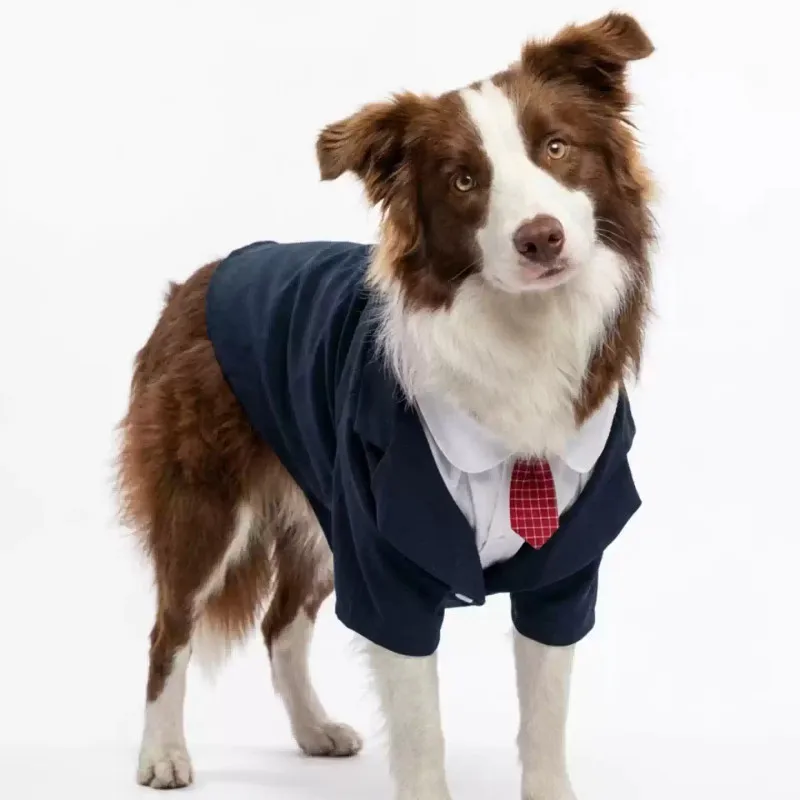 Abito da cerimonia per cani e smoking elegante per cani grandi_voghion.com