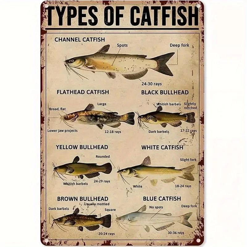 Vintage Catfish Identification Guide - Educational Metal Wall Art for Fishing Enthusiasts, Perfect Home, Man Cave, Cabin