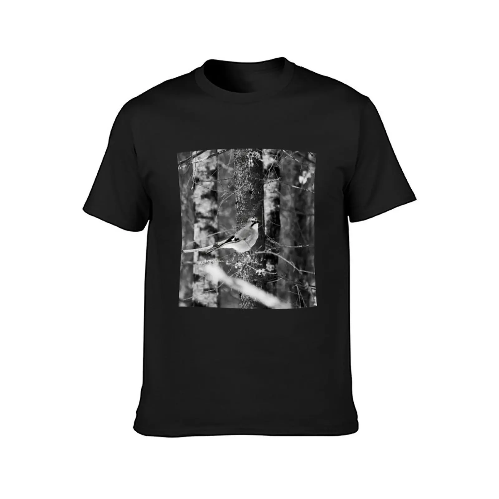 From the forest. Eurasian jay bw T-Shirt blanks tees Blouse tops Men's t shirts