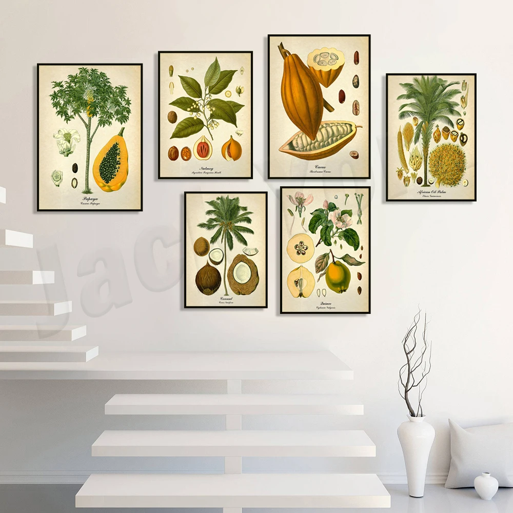 Poster botanico vintage, palma - Plant Jackfruit recensione e prezzo