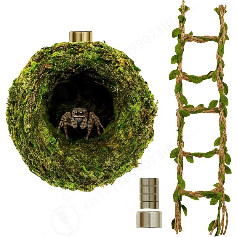 Jumping Spider Accessories - Moss Hideout with Hemp Rope Bridge
