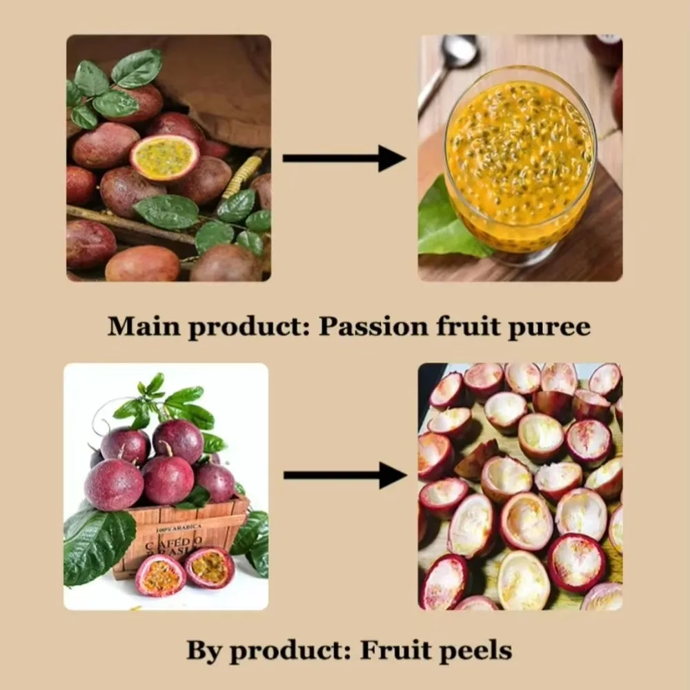 Automatic Passion Fruit Juice Production Line Commercial Fruit Cleaning Processing Equipment High Efficiency