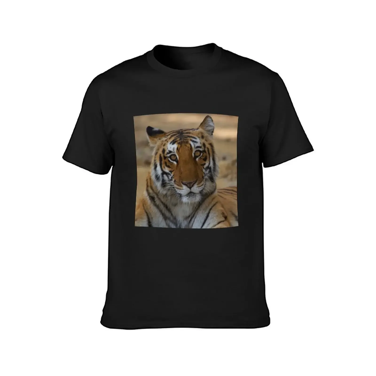 royal bengal tiger portrait T-Shirt anime clothes baggy shirts men clothings