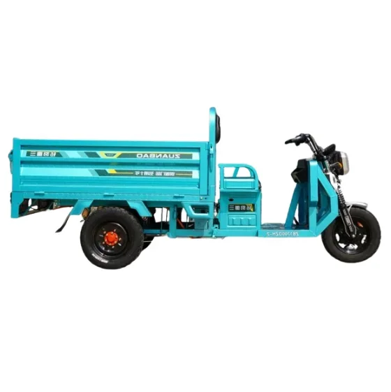 Electric Dumping Tricycles Motorized Tricycle Hot Selling Adult 3 Wheels Electric Truck Family Use Electric Tricycle