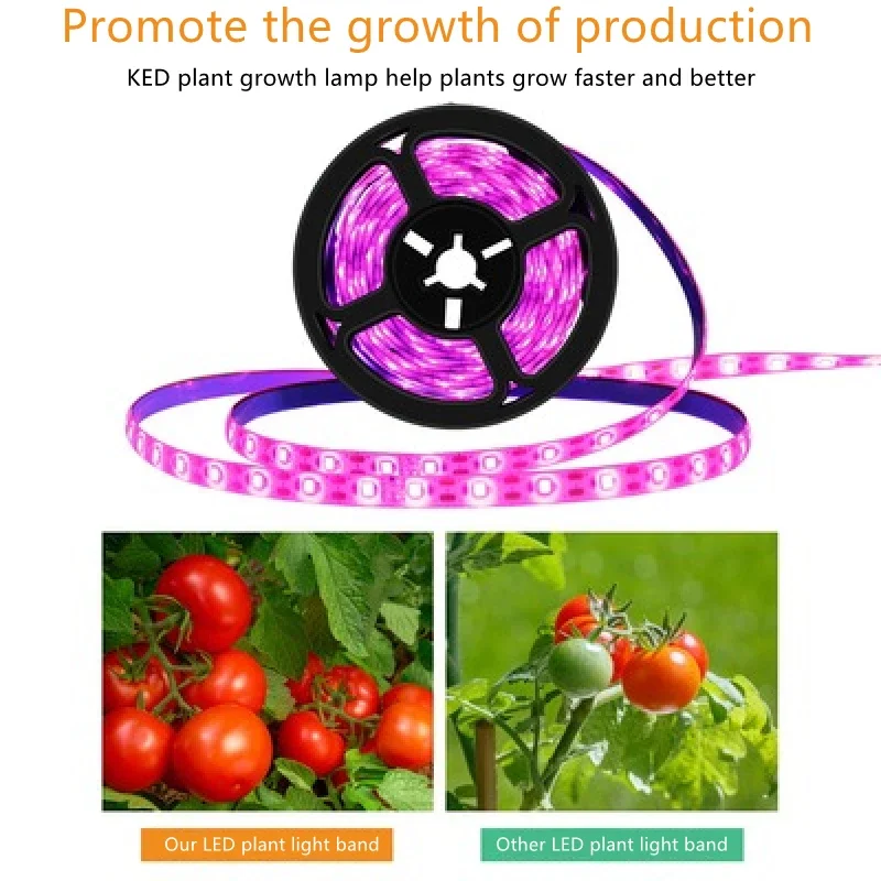 Piante di illuminazione a LED con 5 v a bassa tensione come luce di riempimento impermeabile a spettro completo per piantine di fiori leggeri