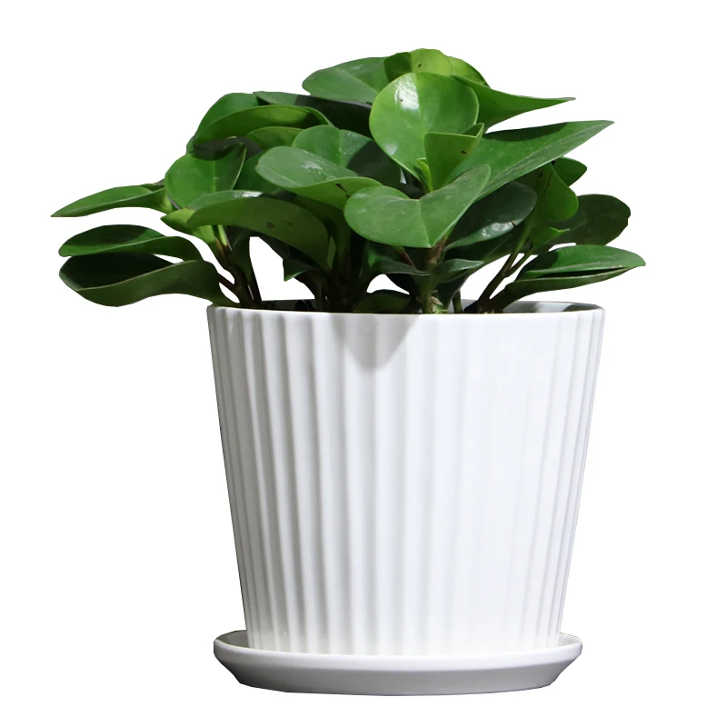 Flower Pot Ceramic Large Medium Household Flower Pot with Tray