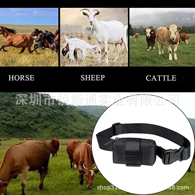 Pet Locator, dog, cat, cat, locator, GPS tracking, anti-loss collar, cattle, sheep, magical positioning collar