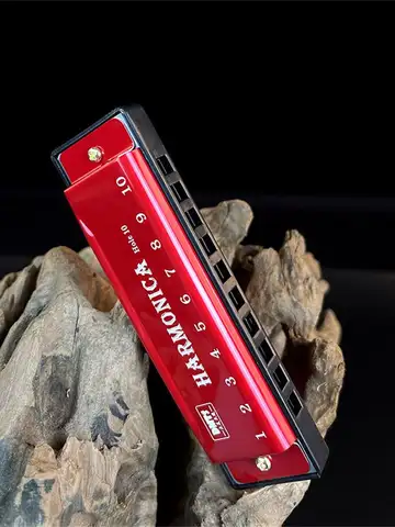 Harmonica Key of C 10 Hole Diatonic Harmonica C with Case for Beginner Students Kids Gift with Case