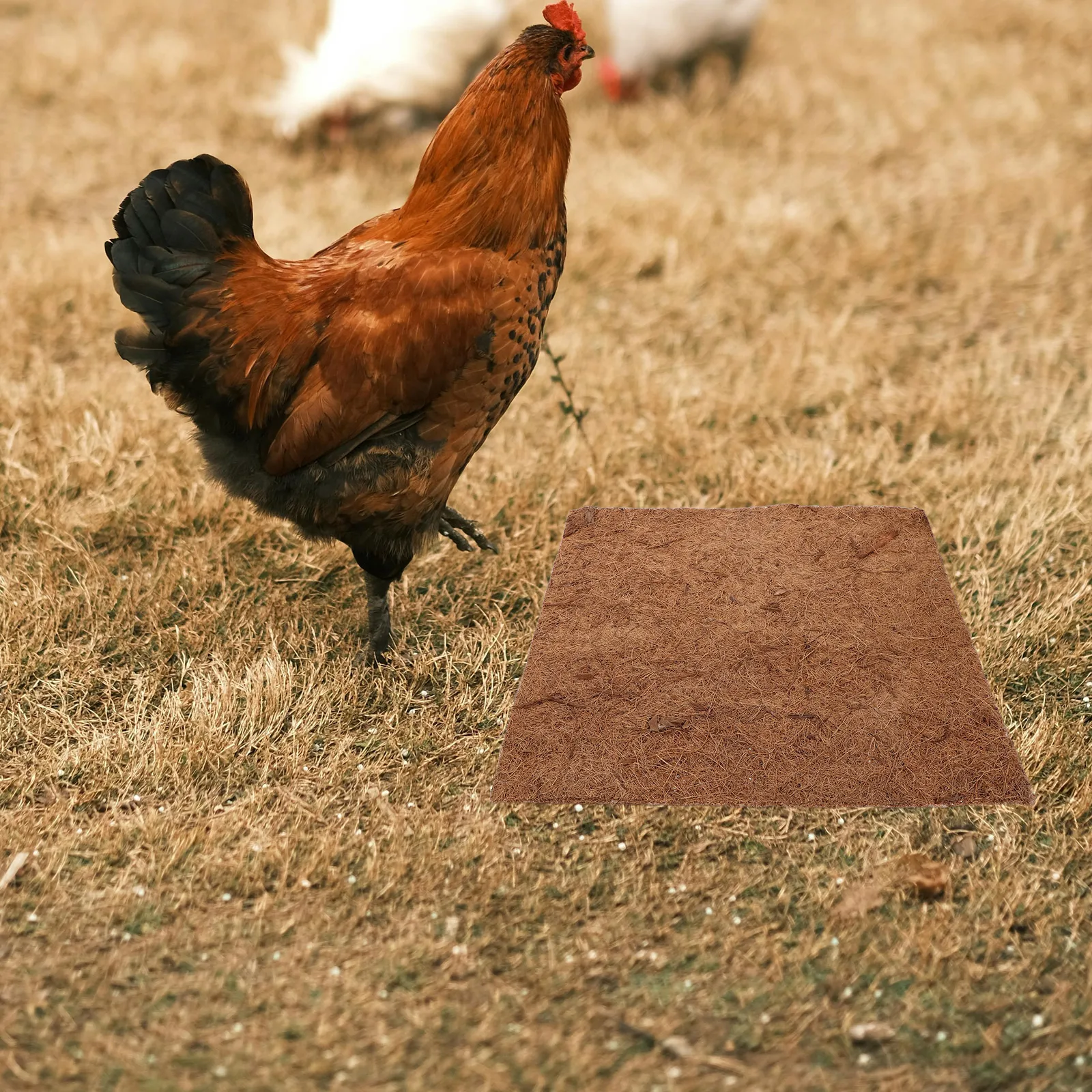 

4pcs Coconut Fiber Reptile Moisture Pad Mat for Lizards Chicken Coop Accessories Nesting Bed Egg Cushion Tank Substrate Liner