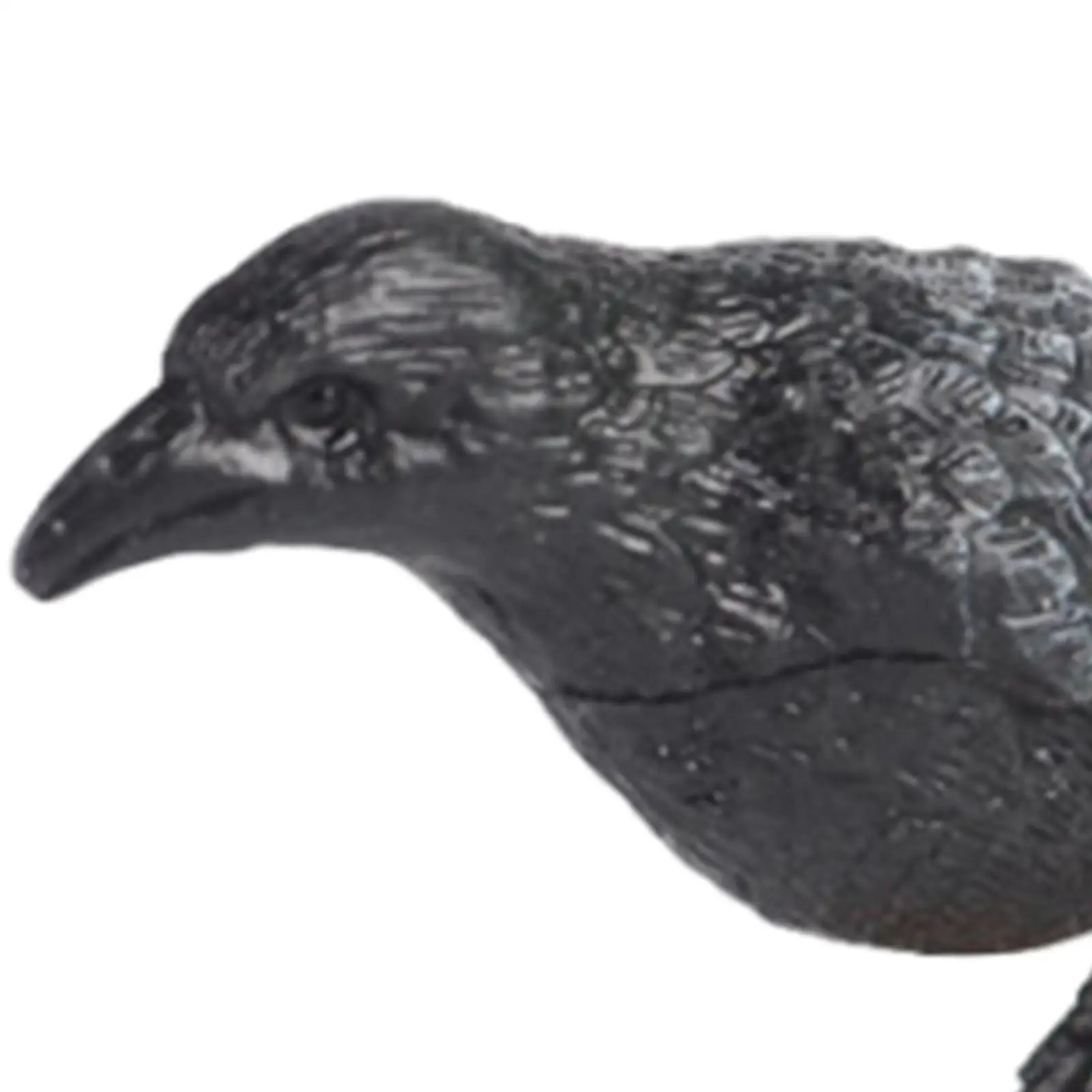 Simulation Parrot Figurine Realistic Bird Animal Sculpture for Party Favors Cake Toppers Bath Toys Teaching Aids Micro Landscape