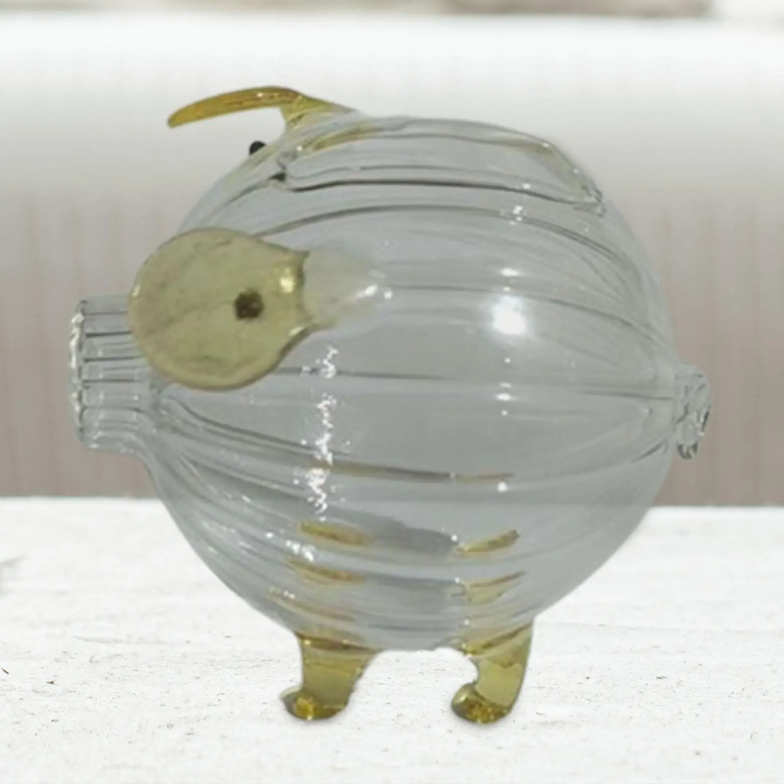 Transparent Piggy Bank Banknote Case Storage Bottle Saving Box for Desktop Living Room
