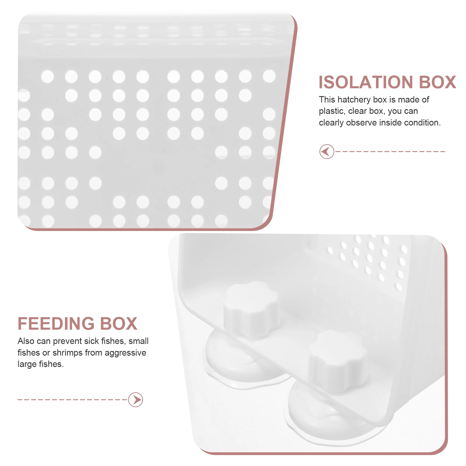 

Small Fish Incubation Rooms Breeding Tank Isolation Box Aquarium Nursery Separator White Plastic Container for Fry Shrimp