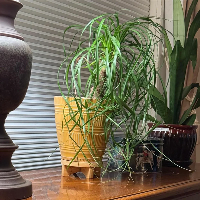 

ABBN-3Pcs Wood Plant Stand Indoor Outdoor Round Wood Riser For Decor Wooden Stool Display Stand Flower Pot Holder