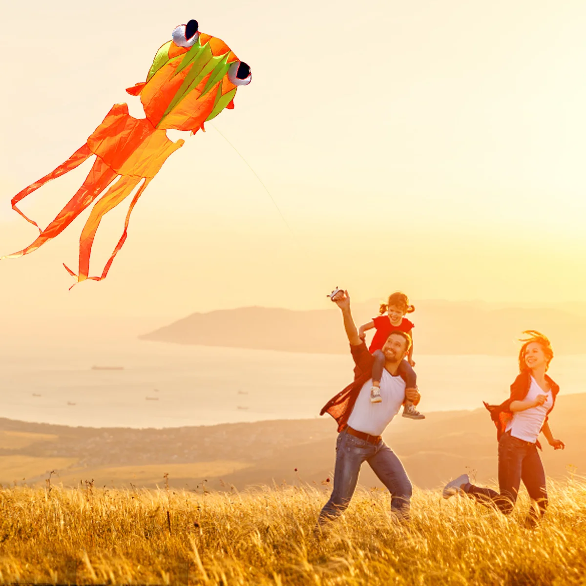 カラフルな金魚凧 大型 シングルライン 飛行安定 屋外 公園 ビーチ スポーツツール 子供 大人へのギフト