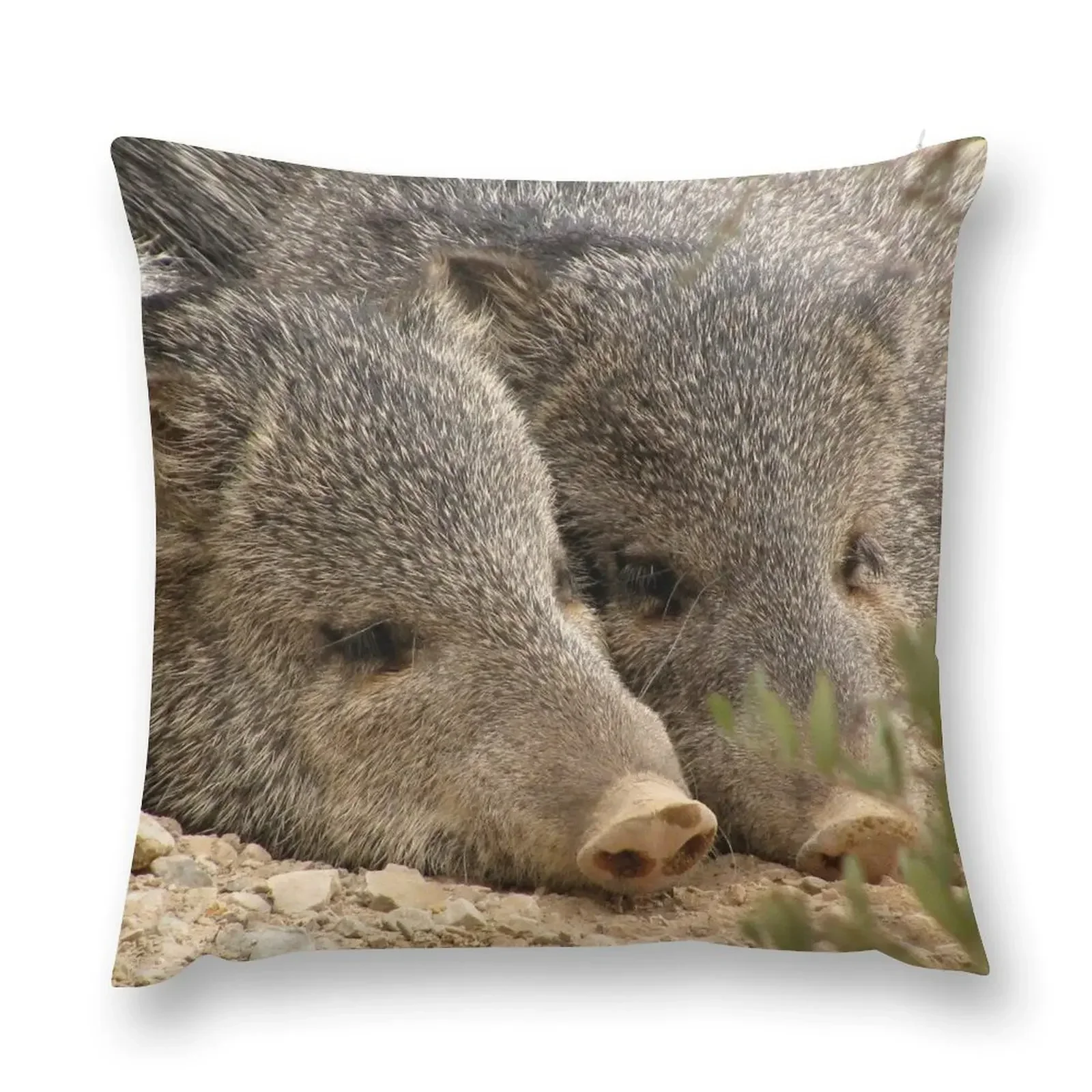 

Happy as two Pigs in....... Throw Pillow Elastic Cover For Sofa bed pillows Luxury Pillow Cover pillow