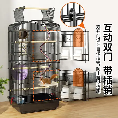 8 best sales ekorrbur - №8