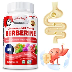 Berberine - Supports Cognitive and Gastrointestinal Health and Improves Immunity