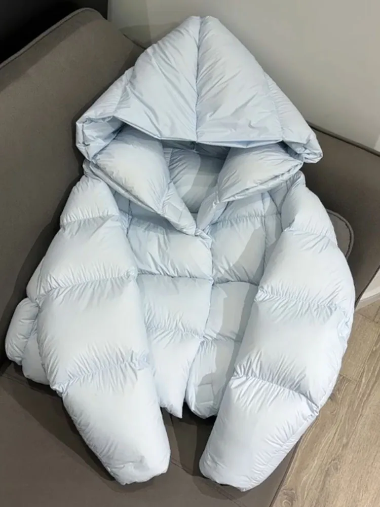 Einzigartiger ort blauer Daunenmantel für Damen mit Kapuze, Jaet Winter 2022, neuer Sle Premium-Brotmantel, Thi-Oberbekleidung, koreanischer Sle Commute