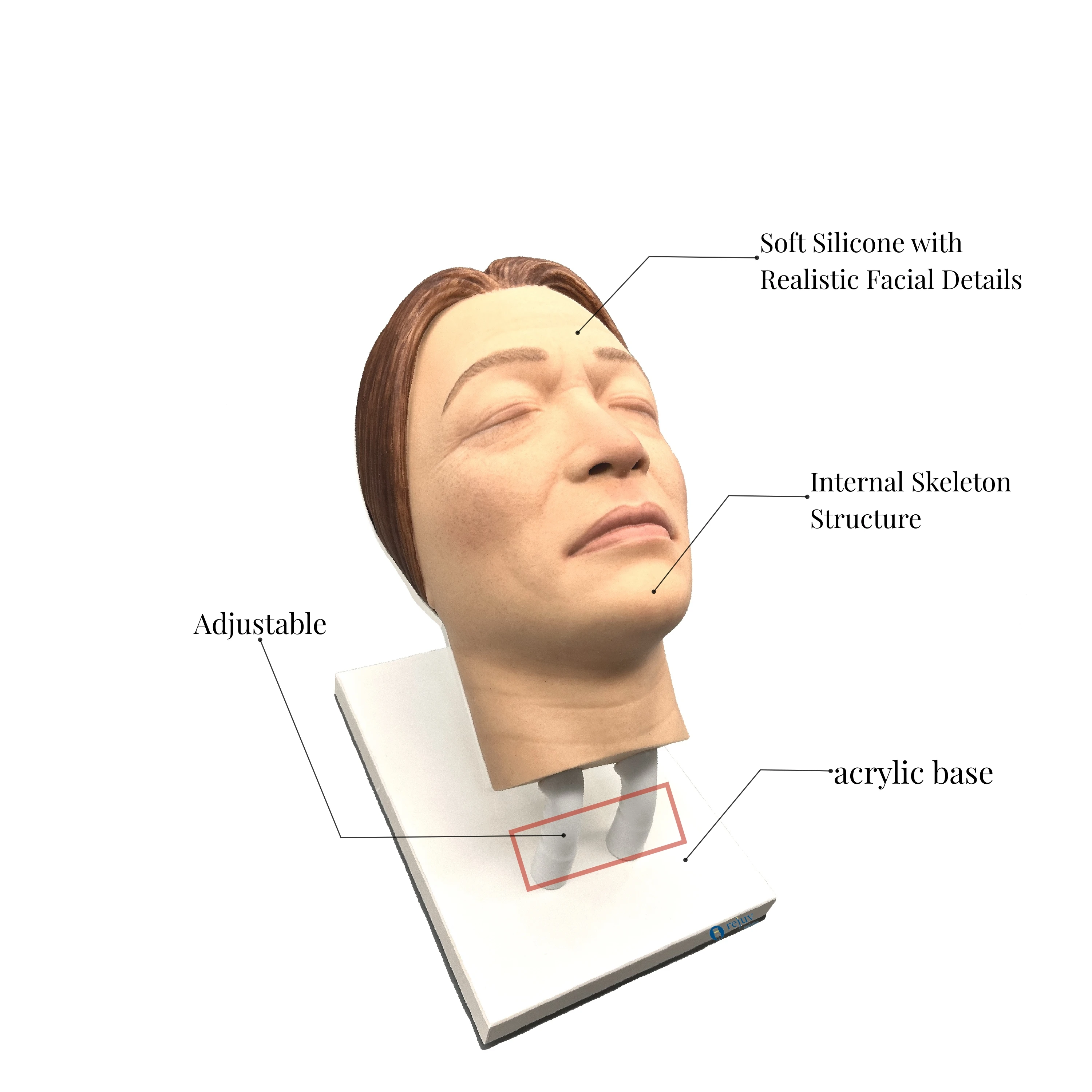 رأس عارضة أزياء من السيليكون لتجاعيد الوجه الأنثوي نموذج ممارسة حقن حقن حشو الجلد حقن الوجه