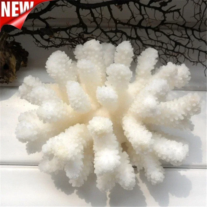 10 -12 100% Natural Coral Aquarium Decor Fish Decoration Aquarium Landscaping Ornaments Home Decoration