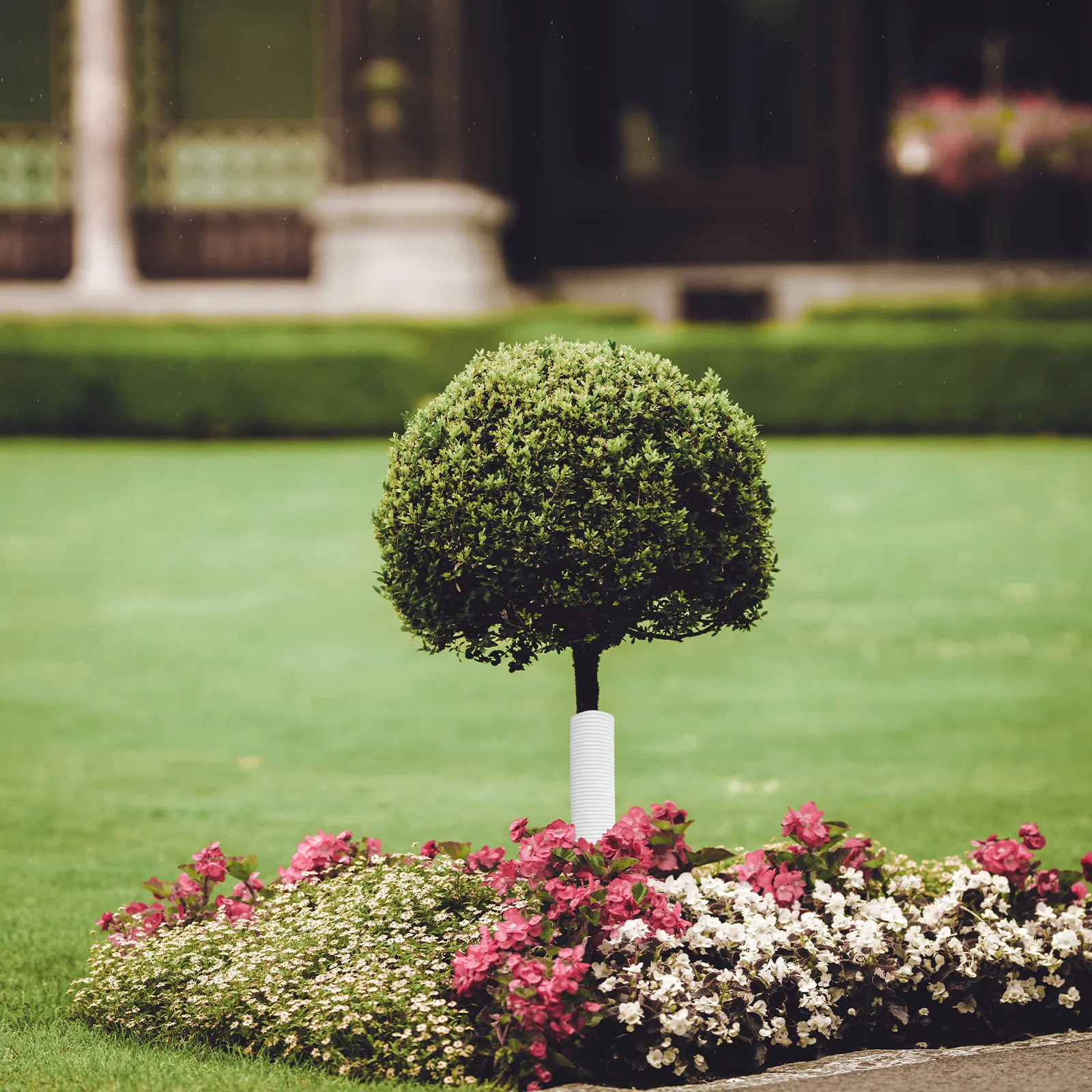 

Комплект из 4 спиральных защитных ограждений для деревьев: прочные, легкие, из ПВХ, для защиты коры деревьев на улице и в помещении, от зимних повреждений животными