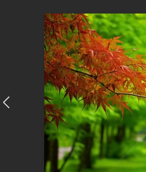 

2208A Смарт-браслет Монитор сердечного ритма и артериального давления Шагомер Спортивный фитнес-трекер для мужчин и женщин Электронный браслет