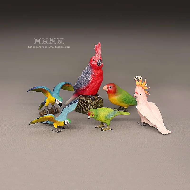Cognitive Simulation Toy Wildlife Model Parakeet Macaw Action Figures Miniature Ornament Accessories Car Interior Desktop Toys