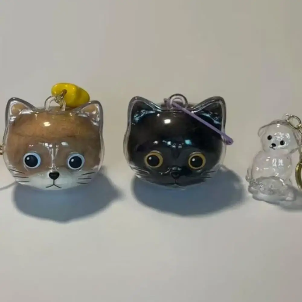 2-pcs-armazenamento-de-cabelo-de-animal-de-estimacao-gato-pele-armazenamento-pingente-ornamento-portatil-bonito-criativo-transparente-chaveiro-presente-aniversario-saco-encantos