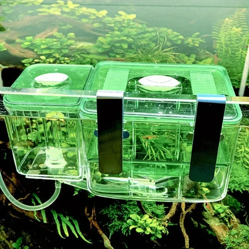 Automatic Circulating Fish Breeding Isolation Box Nursery for Aquarium, Hatchery for Baby Fishes, Shrimp, Clownfish, and Guppy