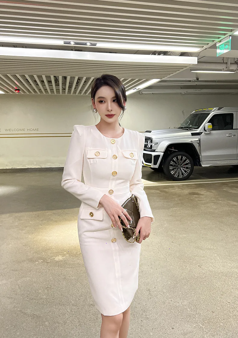 

Spring new women's clothing goddess style commuting temperament round neck single breasted slim hip dress