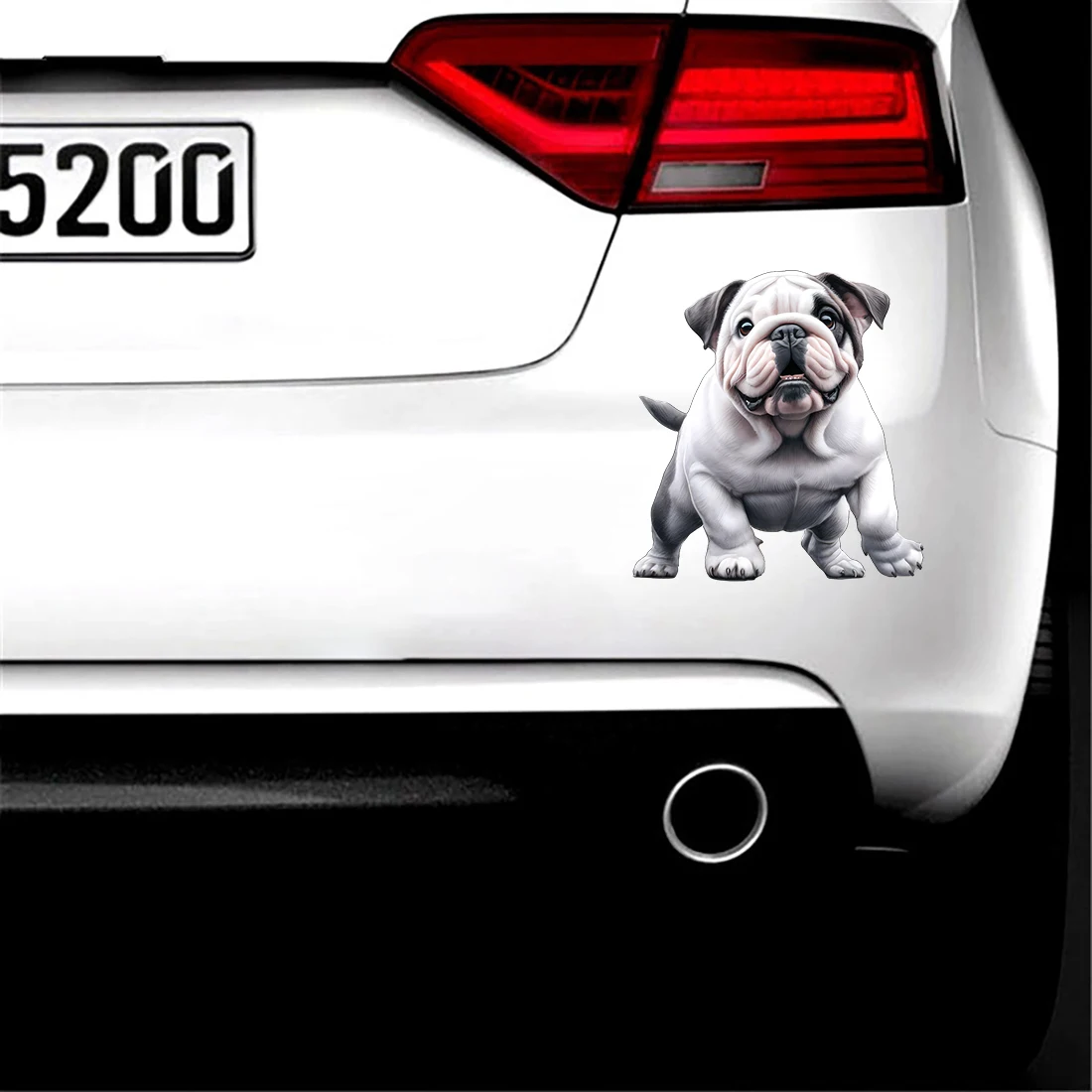 Three Ratels CD62 vivid Bull Terrier Animal stickers for decorating children's bedrooms pet items  decals car stickers