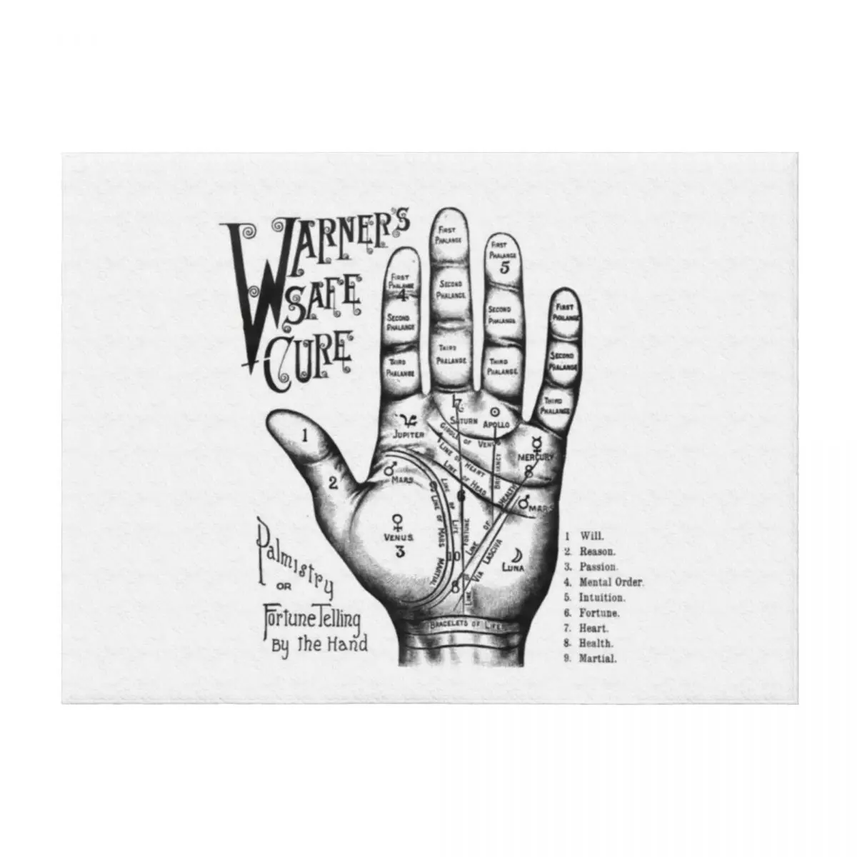 

Palmreading - Vintage palmistry - Fortunetelling - NewAge Tarot Psychic Throw Blanket Furry Hair Thermal Custom Blankets