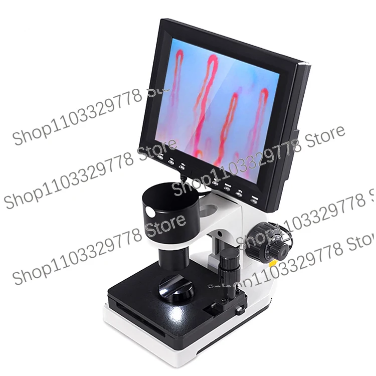 Biological Microcirculation Microscope/Digital Microscope/Capillary Microscope