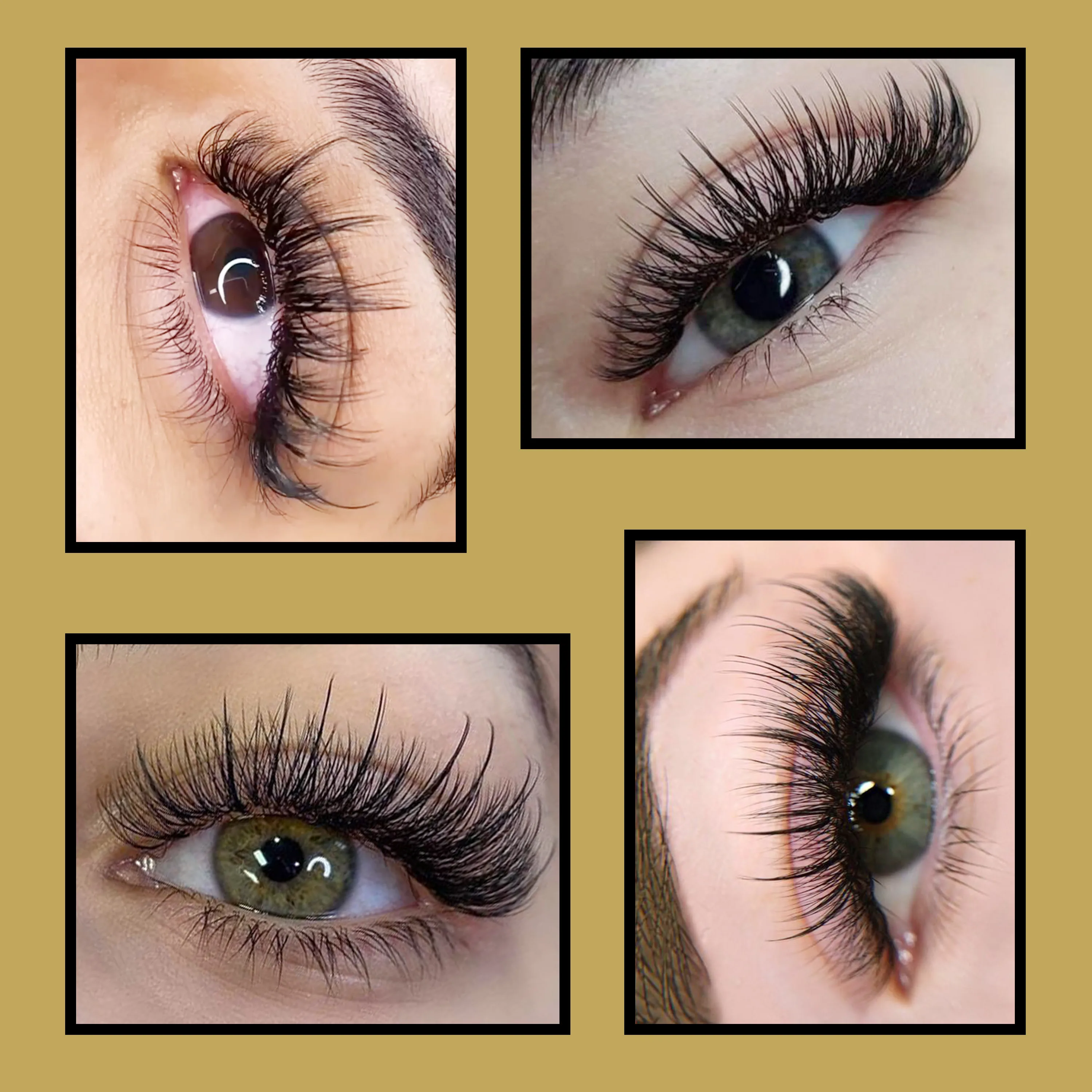 CoMango Wispy Sense Super Soft 5D Lash Extension 0.07 C/D Premade Volume Fans Natural Korean Makeup Fałszywe rzęsy hurtowo