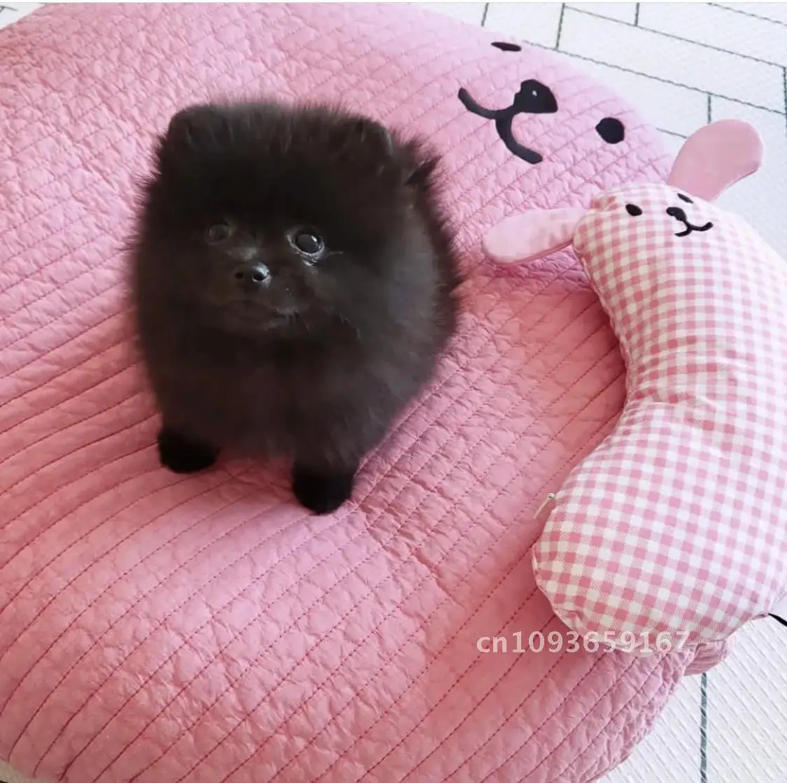 

Cotton Soft Cute Cotton Pet Cushion Round Quilted Cushion Non-Stick Bed Supplies Sleep Dog Puppy Removable Deep Dog Hair Kennel