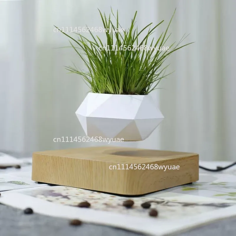 Magnetic Levitation Flower Pot Wood Carving Trendy Living Room Decor Creative Bulb Gift