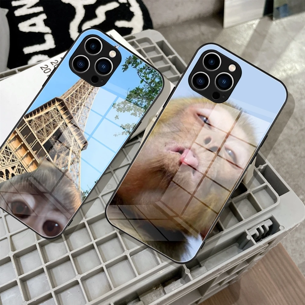 Monkey Sipping Capri Meme Phone Case Tempered Glass For IPhone 15 14 11 12 Pro 8 7 14 15 Plus 13 14 Pro MAX XR Covers