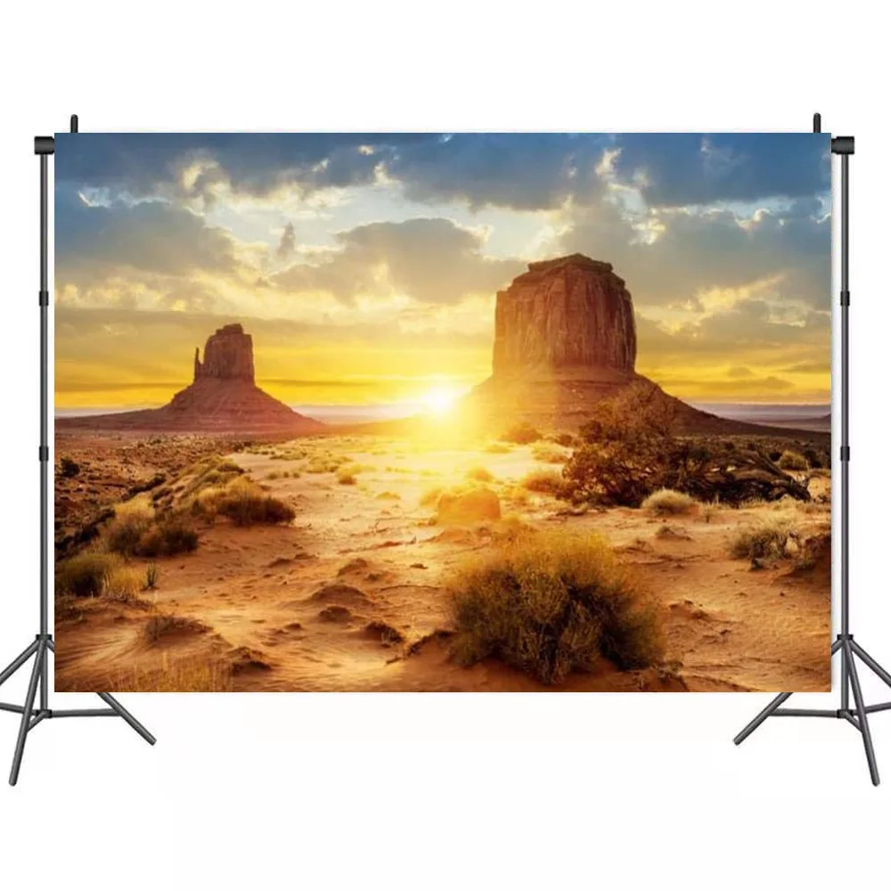 

Desert Huge Building Sunset Landscape Backdrops Photos Background Decor for Portrait Photography Photocall Studio Props