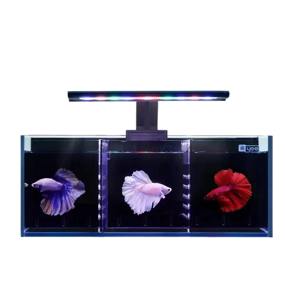 Modular Partition Self-Cleaning Glass Aquarium Built-In Filter Small Ecological Fish Tank Easy Water Change