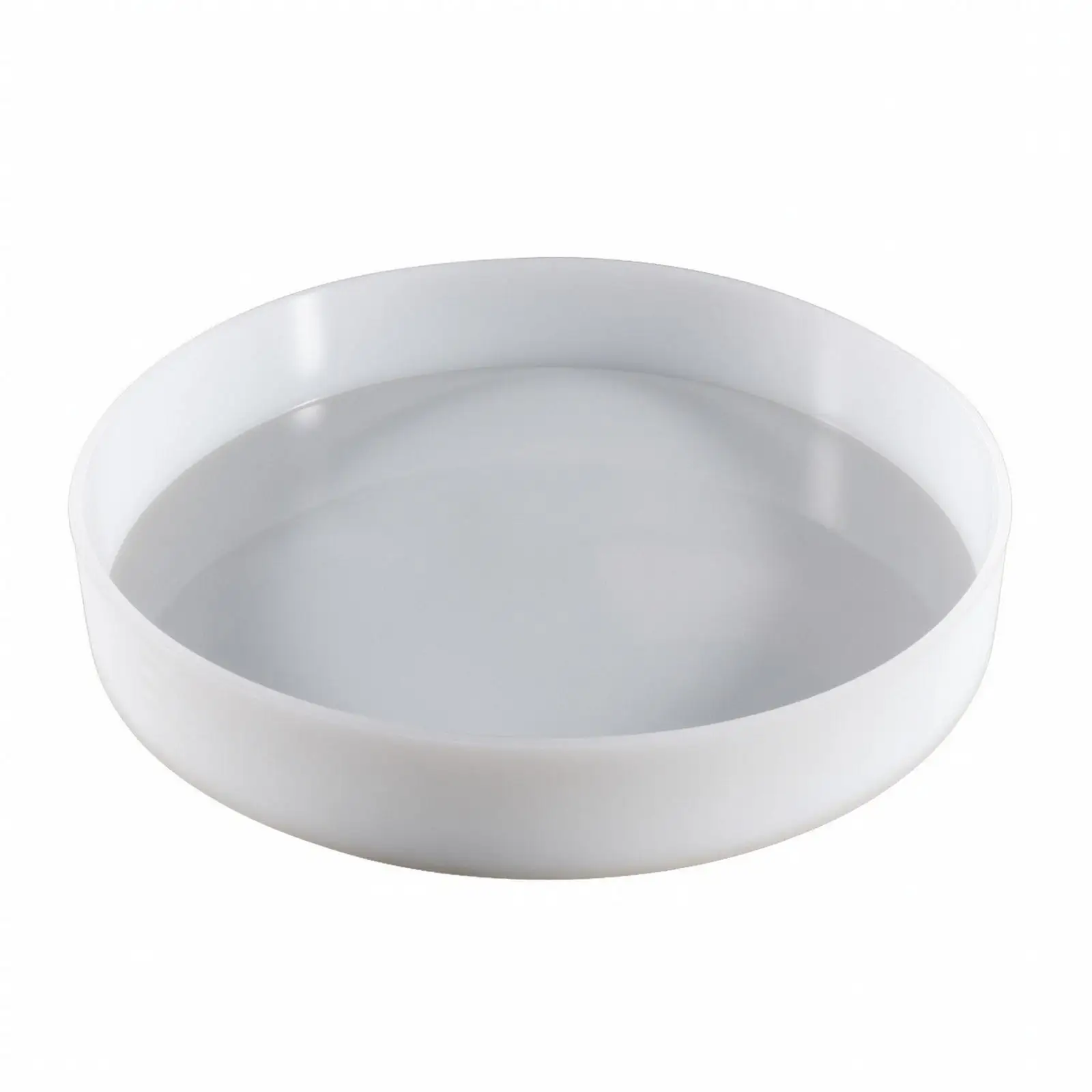 Epoxy Resin Casting Form | Smooth Interior Surface, Translucent with Raised