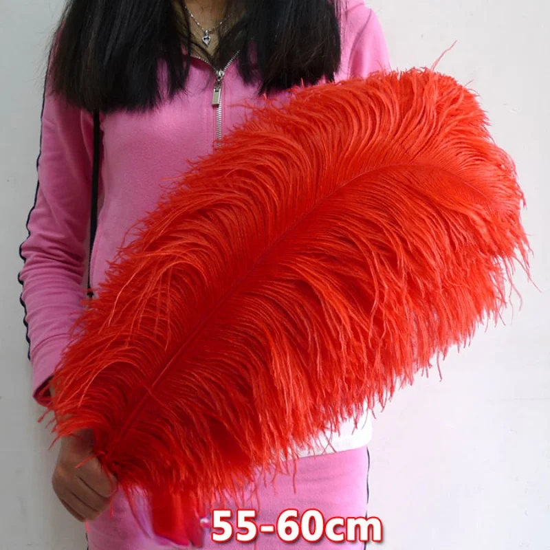 

Wholesale 10PCS 21-23 inch/55-60cm ostrich hair stage Wedding Decoration Feather Decoration Performance Home Decoration