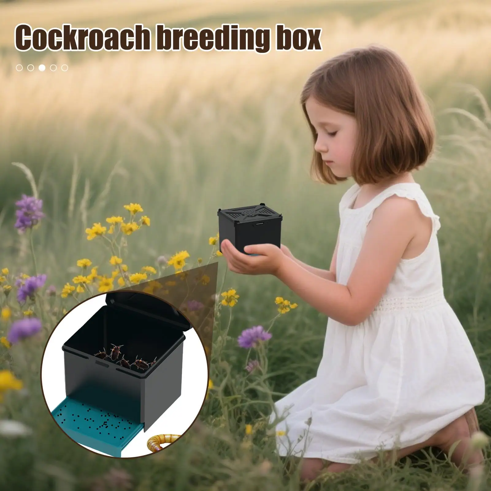 الرتيلاء الضميمة صندوق مراقبة العنكبوت التهوية الموئل للكريكيتس الخنافس الصراصير العناكب العقارب النمل مانتيس