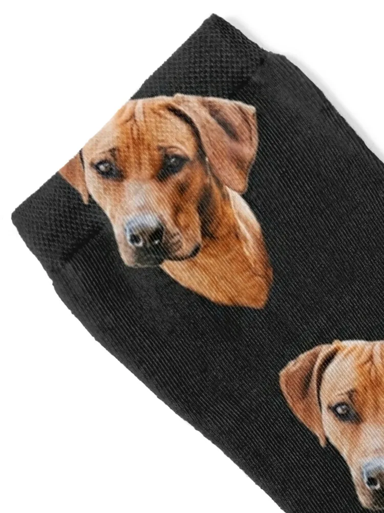 Rhodesian Ridgeback African Lion Dog Socks