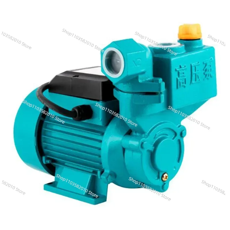 DC 12V 24V 48V 60V Self Priming Pump, Multifunction Booster Pump for Small Water Filtration Systems